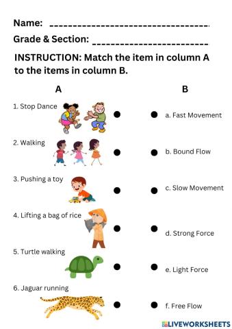 Effort (Time, Force and Flow)