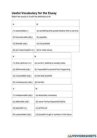 Useful vocabulary for essay