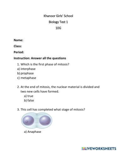 Cell Cycle