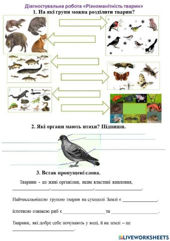 Різноманітність тварин