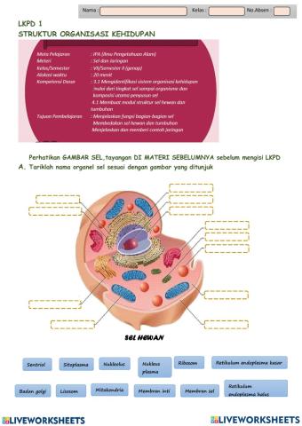 Biologi Sel