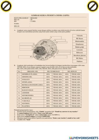 Lkpd biologi