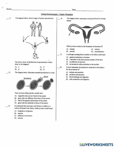 Topic 4 practice