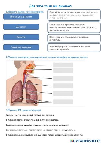 Для чого та як ми дихаємо