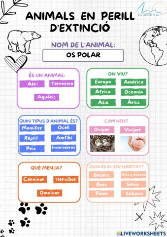 Animals en perill: os polar