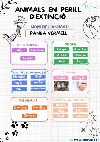 Animals en perill: panda vermell