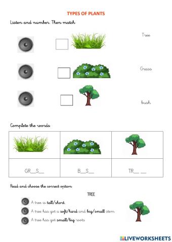 Types of plants