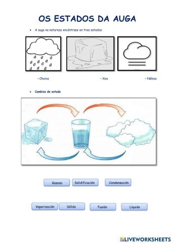 Os estados da auga