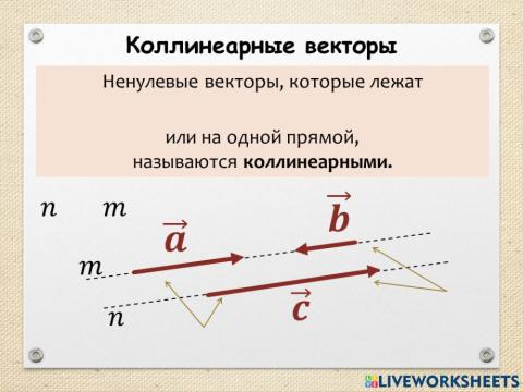 Коллинеарные векторы