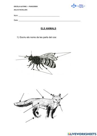 Parts del cos dels animals