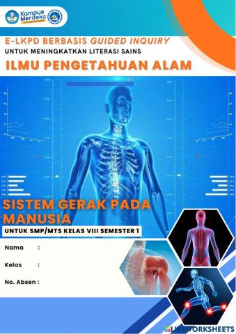 Sistem gerak pada manusia