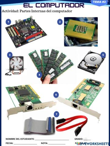 Partes internas del computador