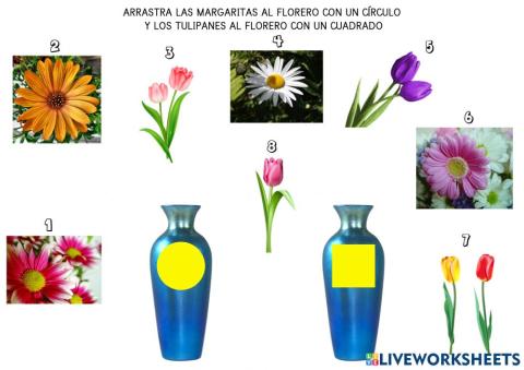 Flores geométricas