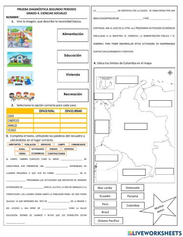 Prueba diagnostica 4