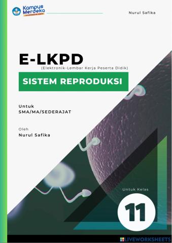 Lkpd pertemuan 1 sistem reproduksi