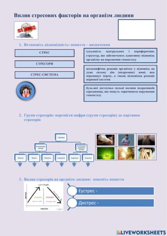 Вплив стресових чинників на організм людини