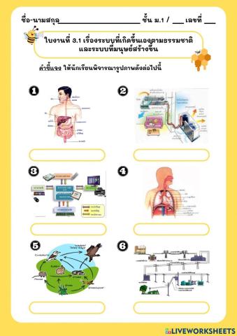 ใบงานที่ 3.1 เรื่องระบบที่เกิดขึ้นเองตามธรรมชาติ และระบบที่มนุษย์สร้างขึ้น