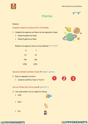 Comandos para las fichas interactivas