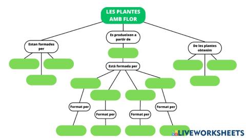 Esquema plantes