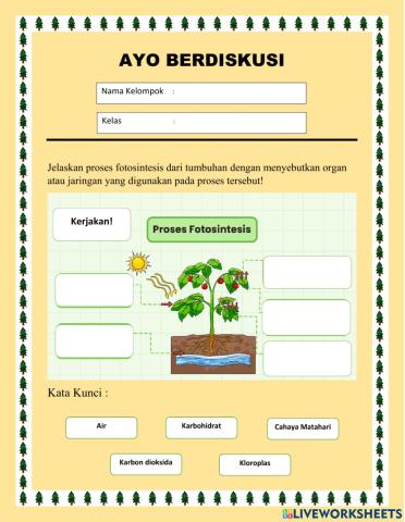 Proses Fotosintesis