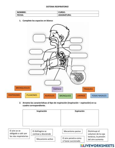 Taller de biologia