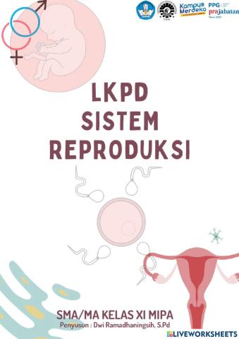 Lkpd sistem reproduksi