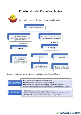 Función de relación en las plantas