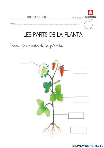 Parts de la planta