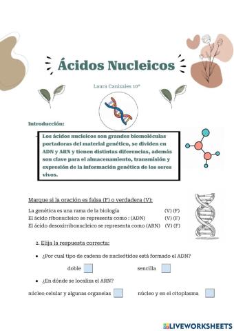 Proyecto ciencias