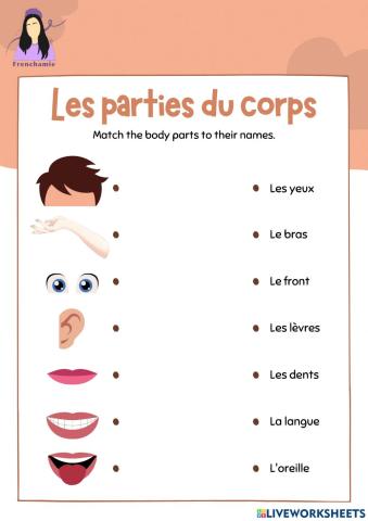 Les parties du corps