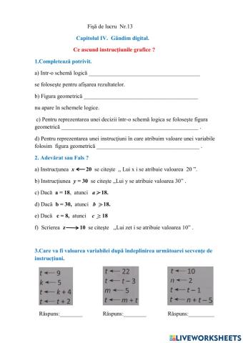 Capitolul IV. Gândim digital.  13.Ce ascund instrucţiunile grafice ?