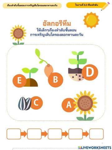 เรียงลำดับ