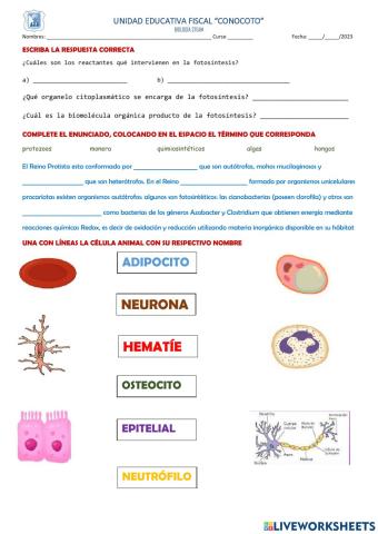 Biología recuperación 2do BGU