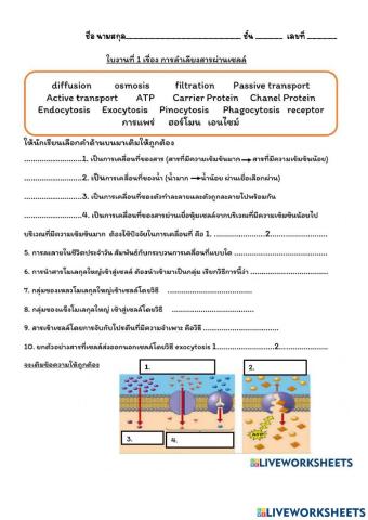 การขนส่งสารผ่านเซลล์