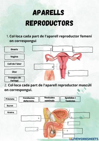 aparells reproductors