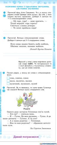 Розрізняю корені з однаковим звучанням, але різним значенням.  Проведення інтерв’ю за поданими запитаннями. Написання тексту за світлиною.