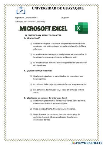 Microsoft excel