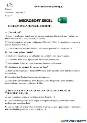 Microsoft excel