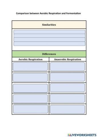 Comparison between Aerobic Respiration and Fermentation