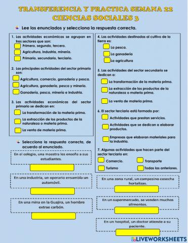 Actividades economicas