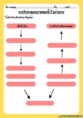 การรักษาดุลยภาพร่างกาย