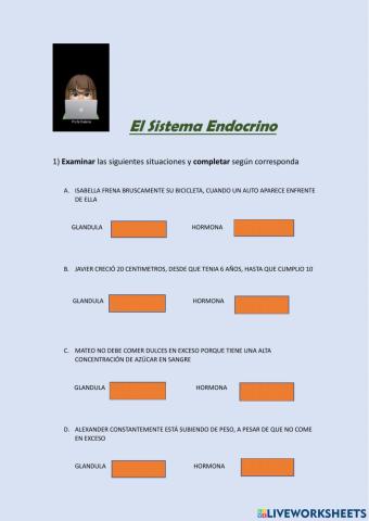 Sistema endocrino