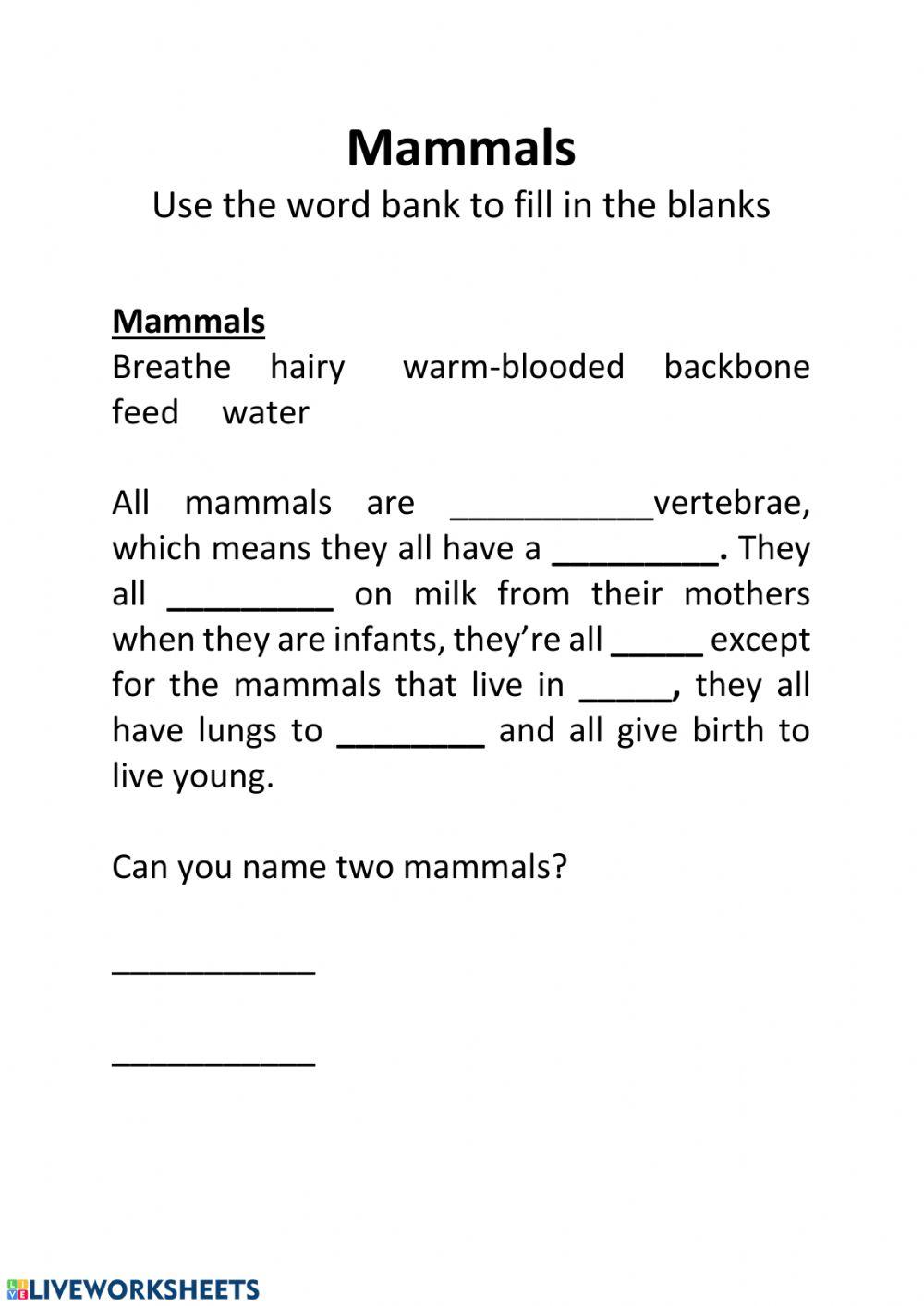 Mammals