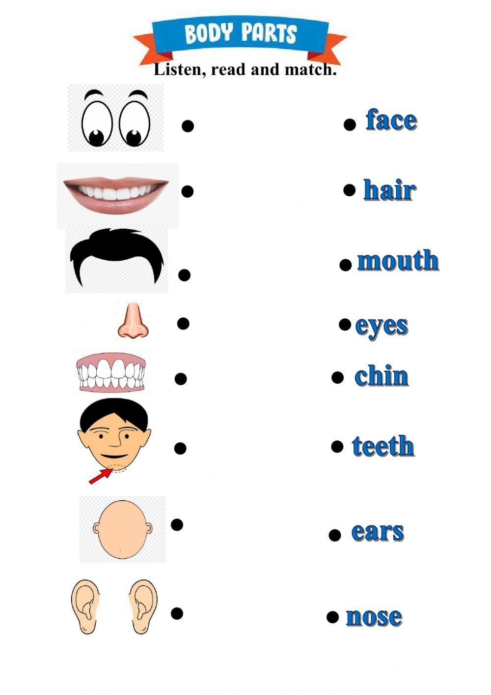 Body Parts - My Face worksheet | Live Worksheets