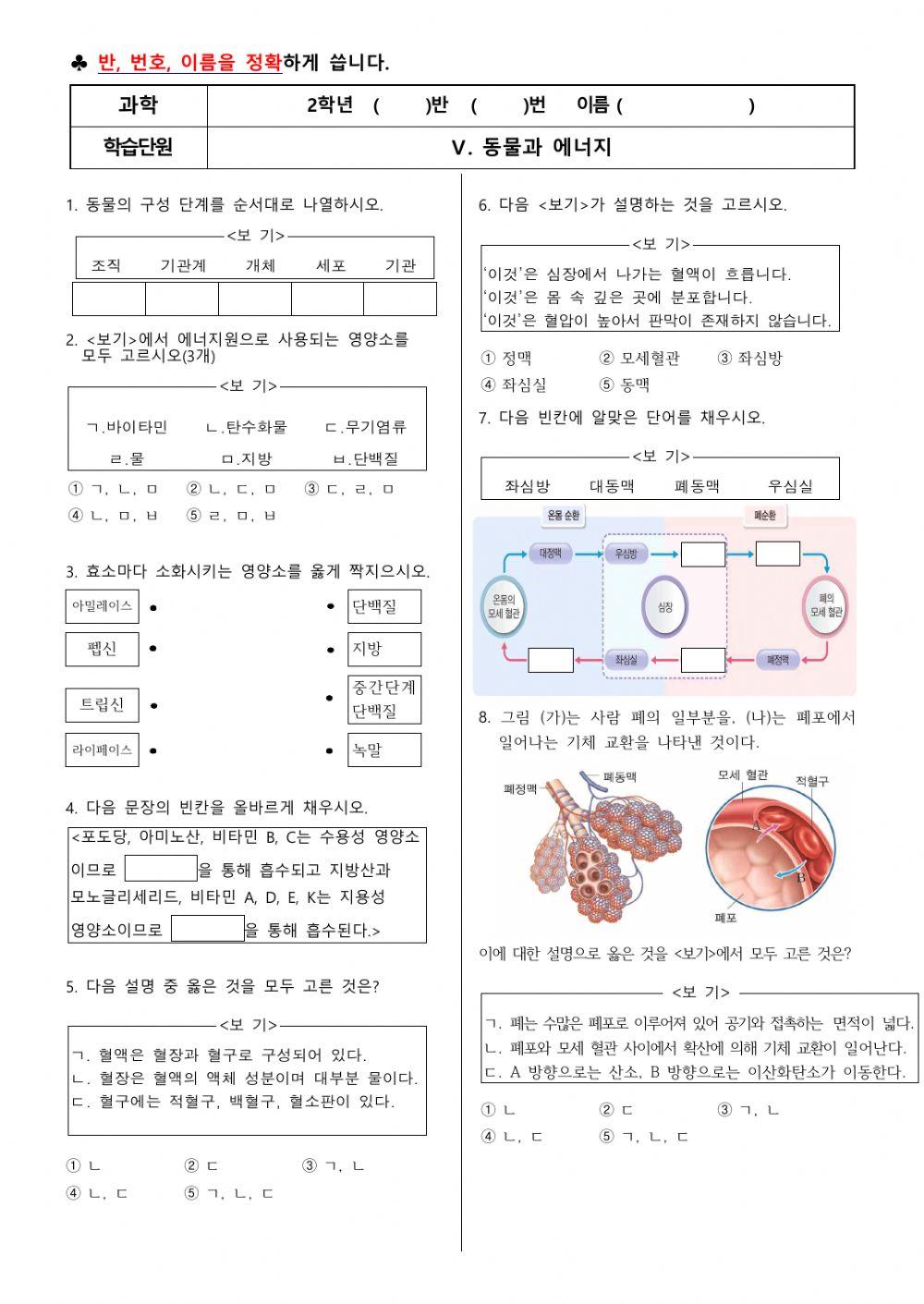 5. 동물과 에너지 (수정)