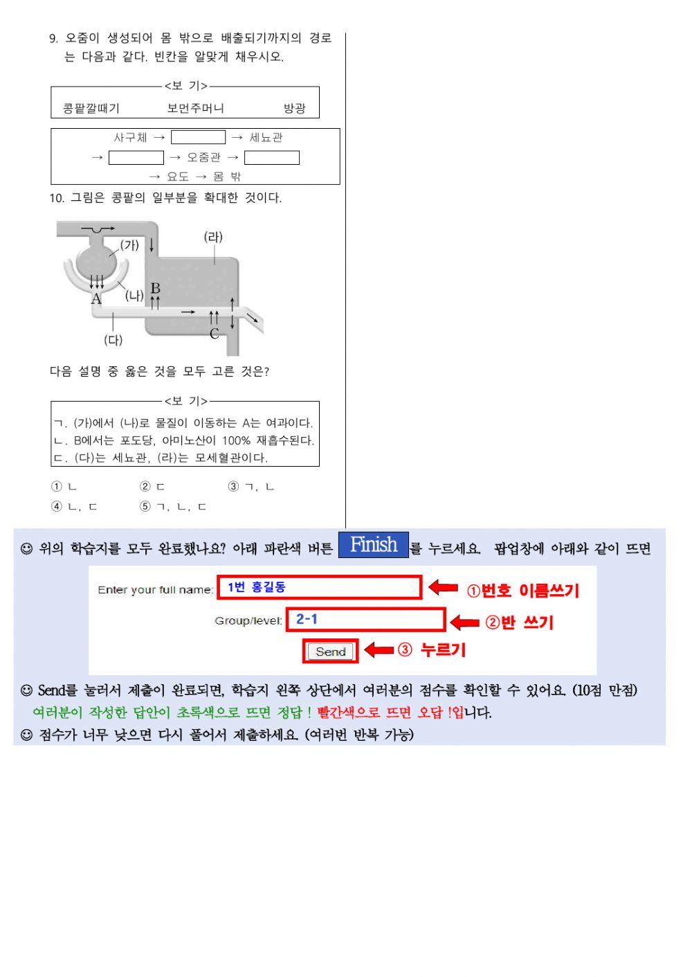 5. 동물과 에너지 (수정)