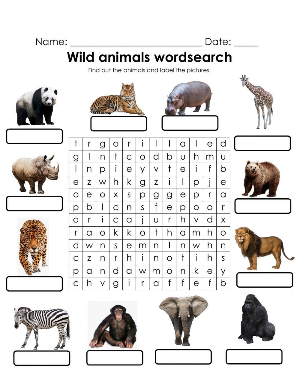 Wild animals wordsearch activity | Live Worksheets