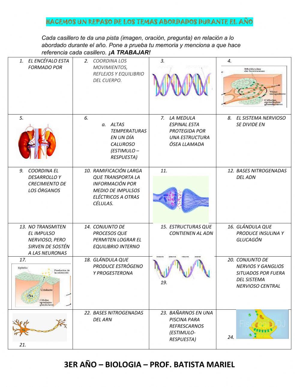 Repaso biologia