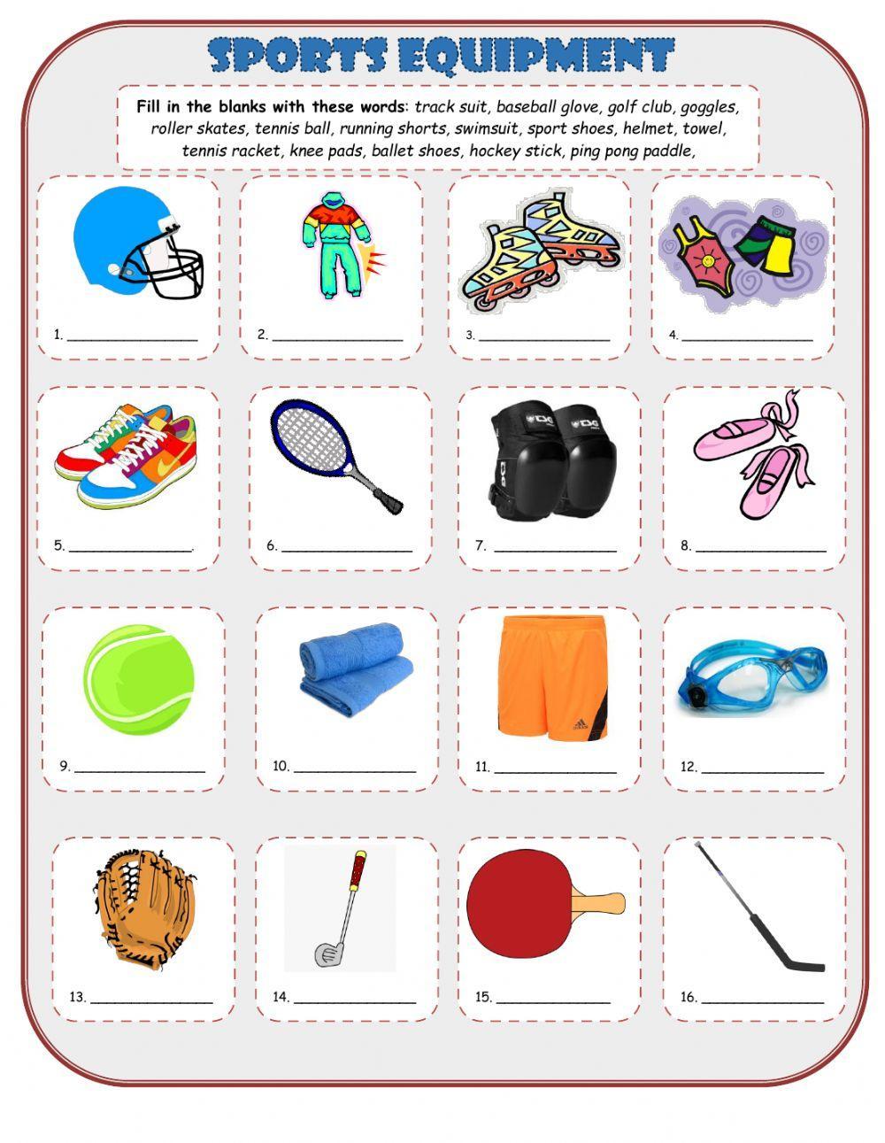 Sports Equipment Vocabulary worksheet | Live Worksheets