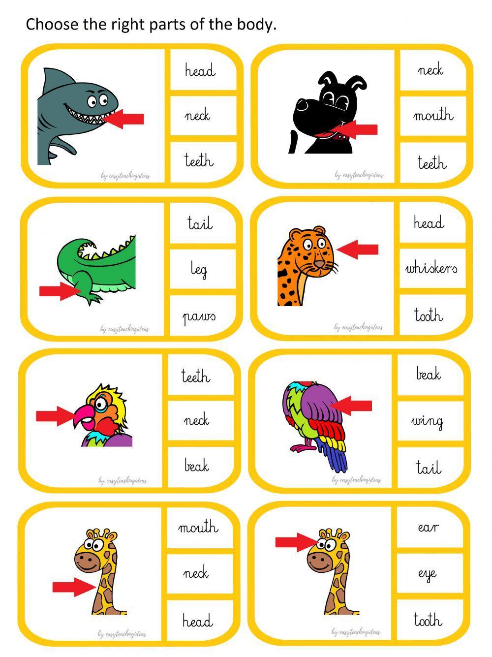 Animals. Parts of the body. worksheet | Live Worksheets